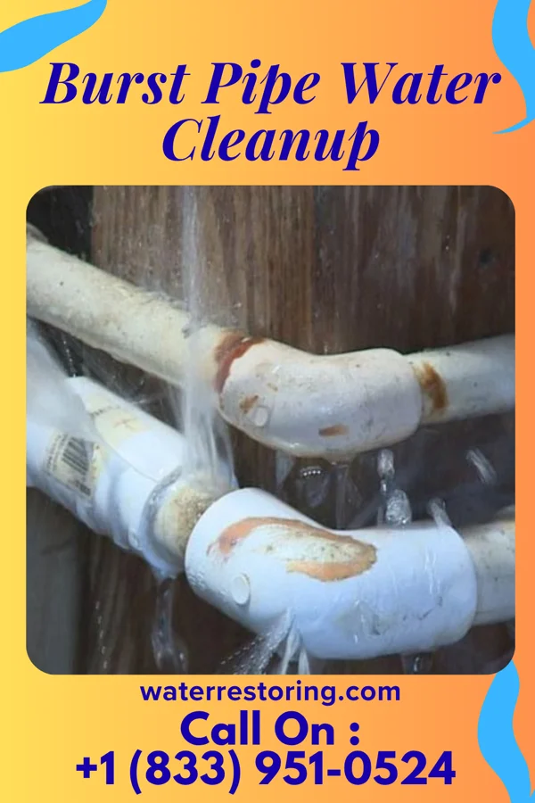 Burst Pipe Water Cleanup in Combine, TX