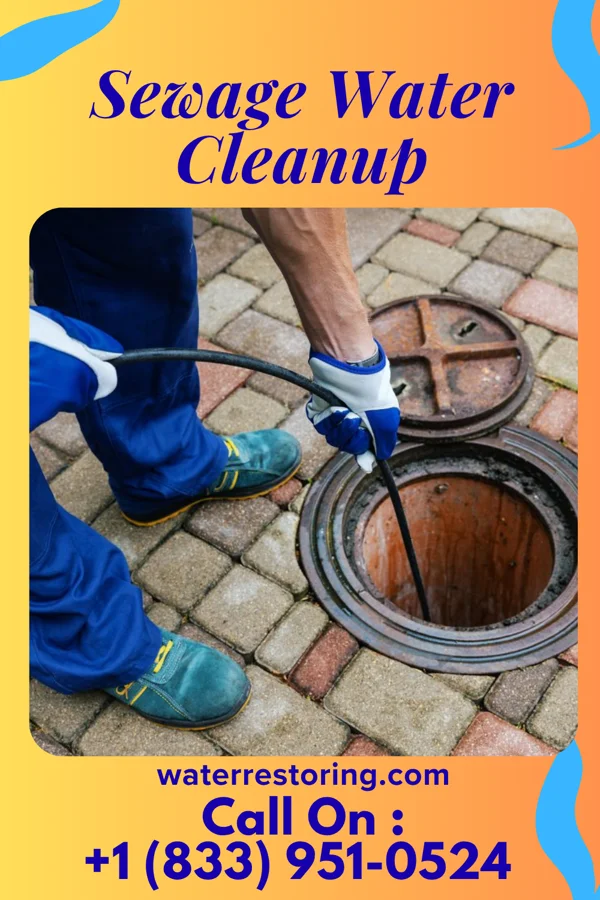 Sewage Water Cleanup in Combine, TX