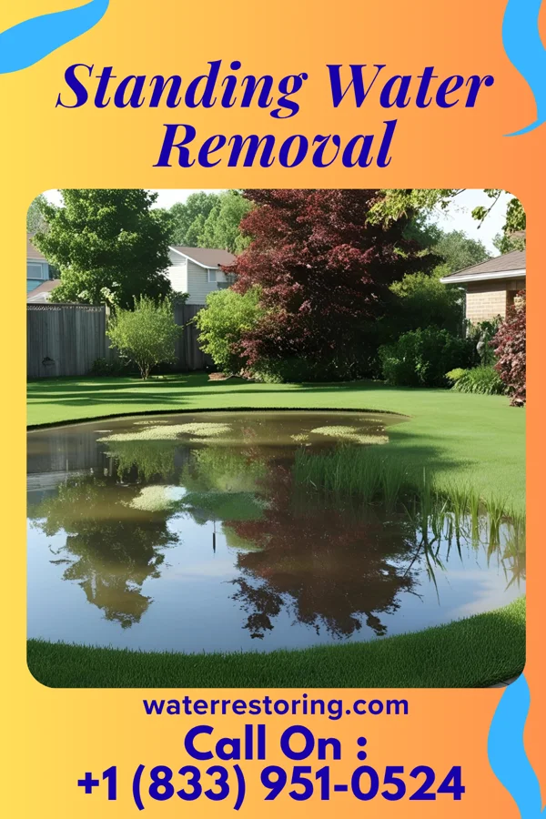Standing Water Removal in Combine, TX